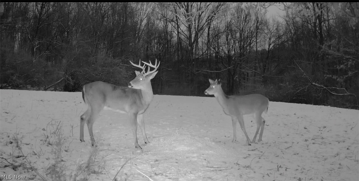 Morganville Rd Road Corning OH 43730