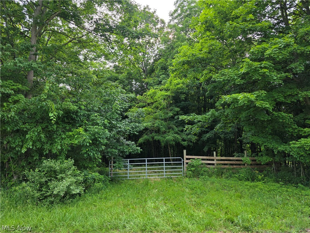 Greenwich Rd / Jamison Road Lodi OH 44254