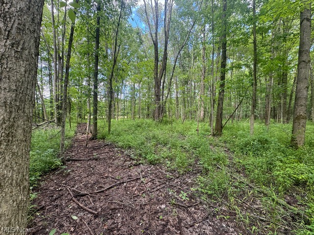 Shafer Road Warren OH 44481