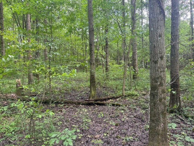 Shafer Road Warren OH 44481