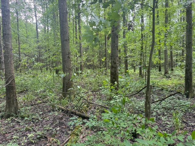 Shafer Road Warren OH 44481