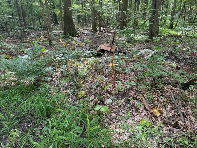 Shafer Road Warren OH 44481