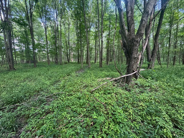 Shafer Road Warren OH 44481