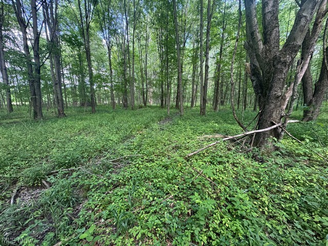 Shafer Road Warren OH 44481