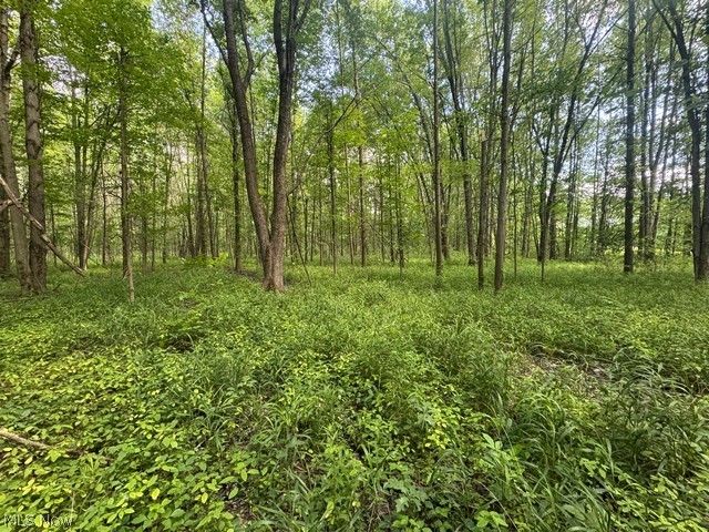 Shafer Road Warren OH 44481