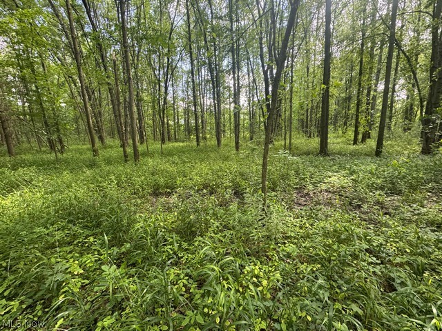 Shafer Road Warren OH 44481
