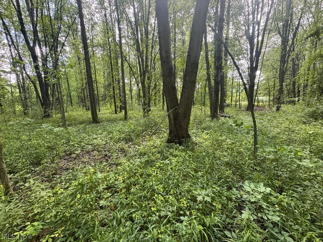 Shafer Road Warren OH 44481