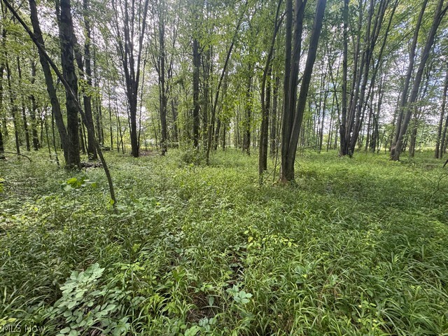 Shafer Road Warren OH 44481