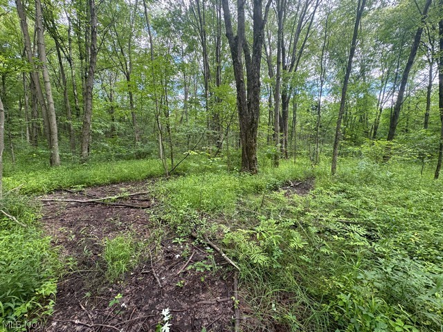 Shafer Road Warren OH 44481