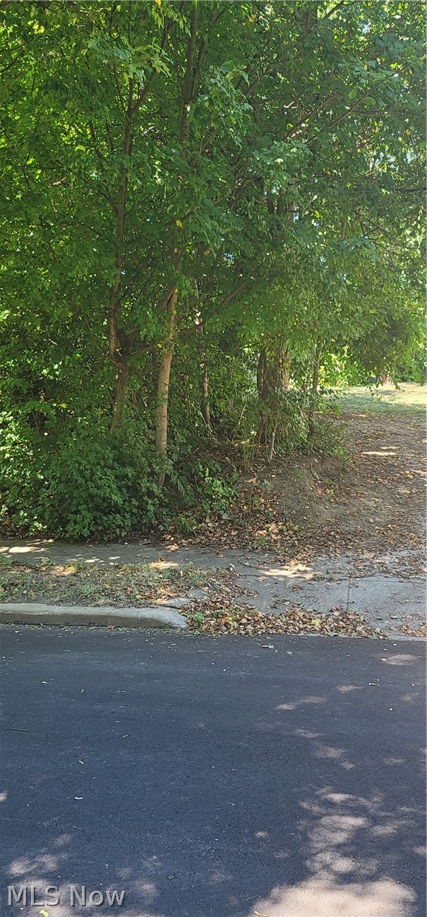 Kline Avenue Akron OH 44305