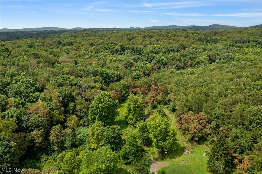 Buzzard Road Wellsville OH 43968