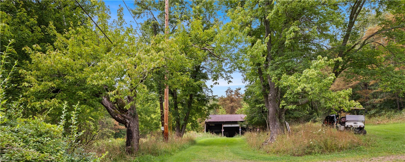 Buzzard Road Wellsville OH 43968