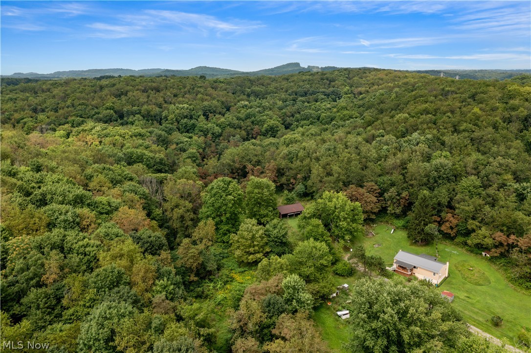 Buzzard Road Wellsville OH 43968