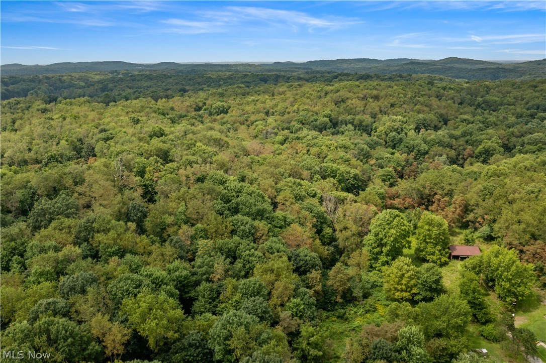 Buzzard Road Wellsville OH 43968