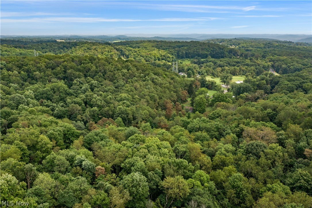 Buzzard Road Wellsville OH 43968