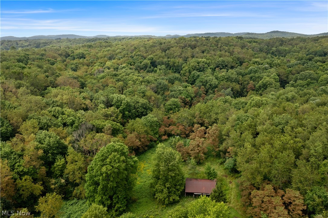 Buzzard Road Wellsville OH 43968