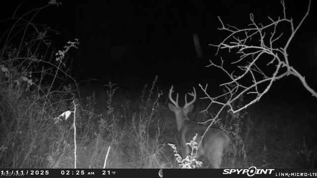 Buzzard Road Wellsville OH 43968