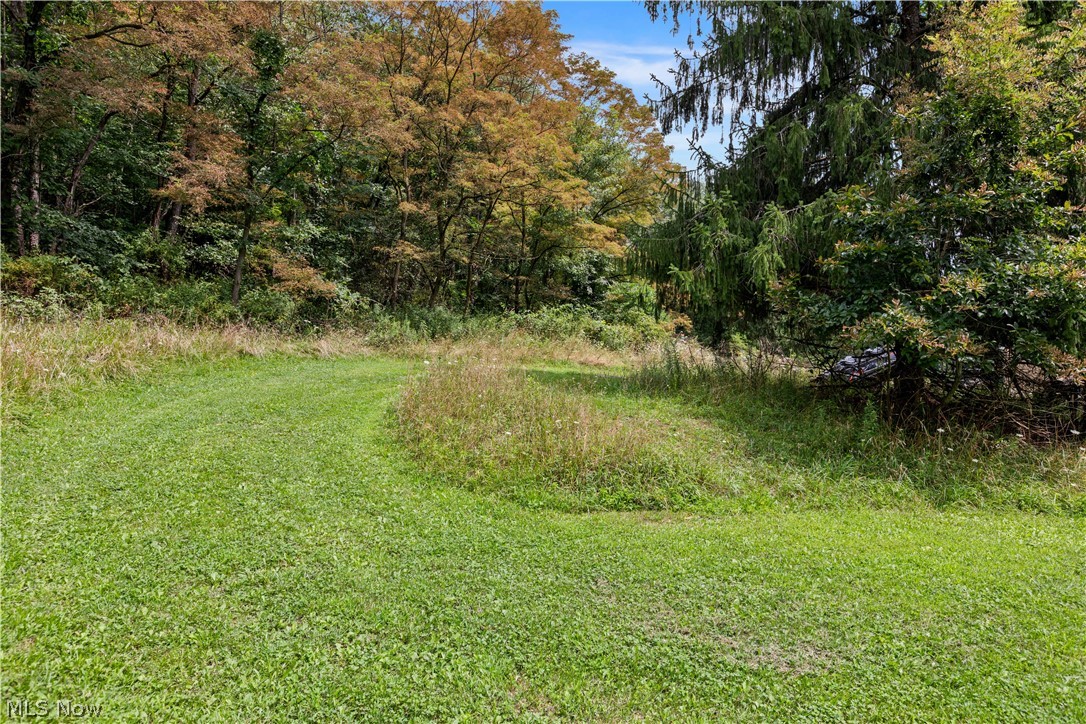 Buzzard Road Wellsville OH 43968