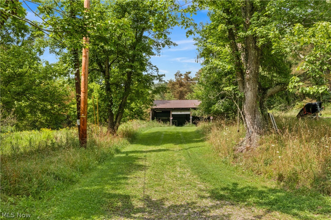 Buzzard Road Wellsville OH 43968