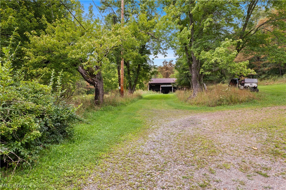 Buzzard Road Wellsville OH 43968