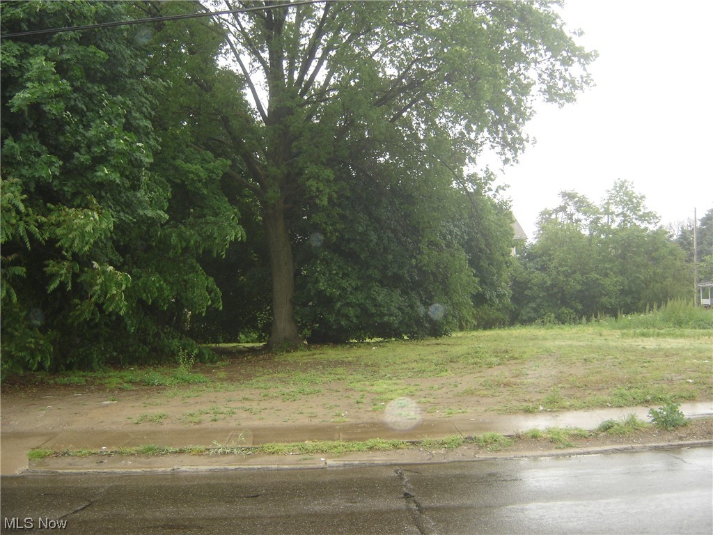 253,257,261,263 E Thornton Street Akron OH 44311