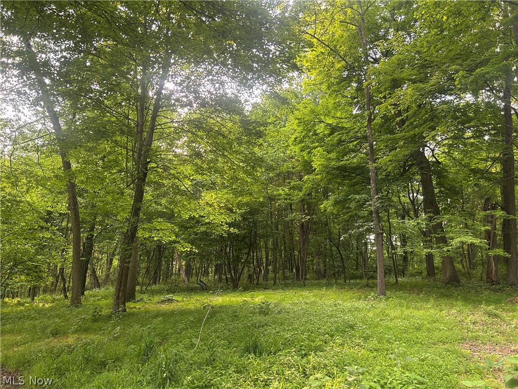 12929 Pleasant Valley Road Utica OH 43080