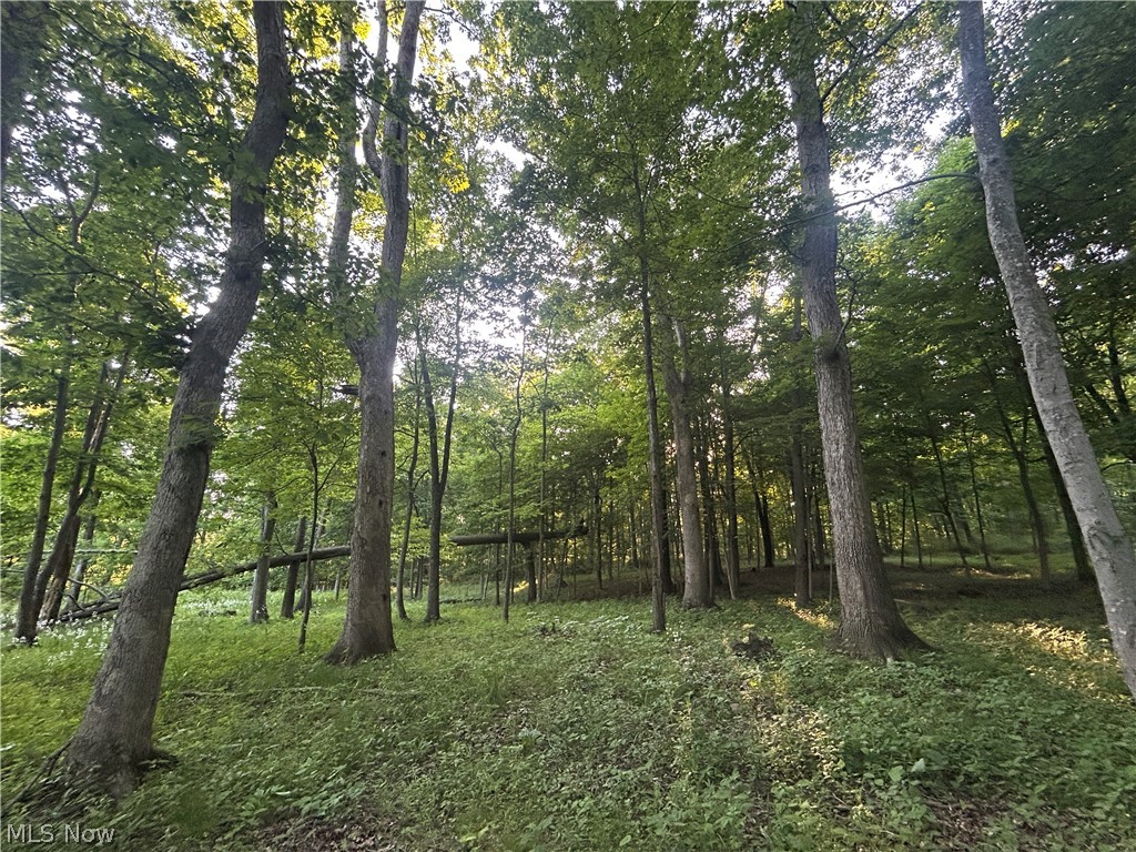 12929 Pleasant Valley Road Utica OH 43080