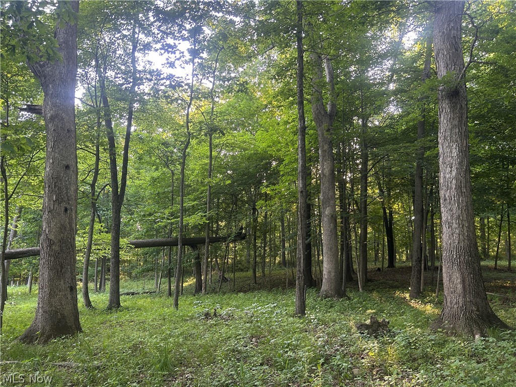 12929 Pleasant Valley Road Utica OH 43080