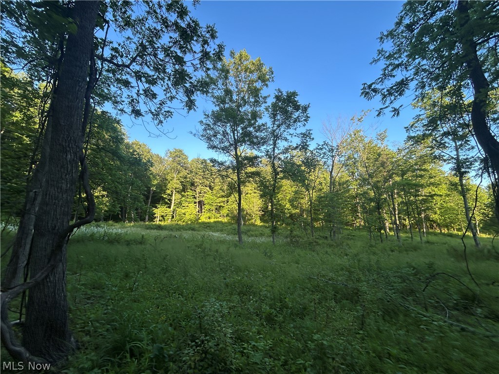 12929 Pleasant Valley Road Utica OH 43080