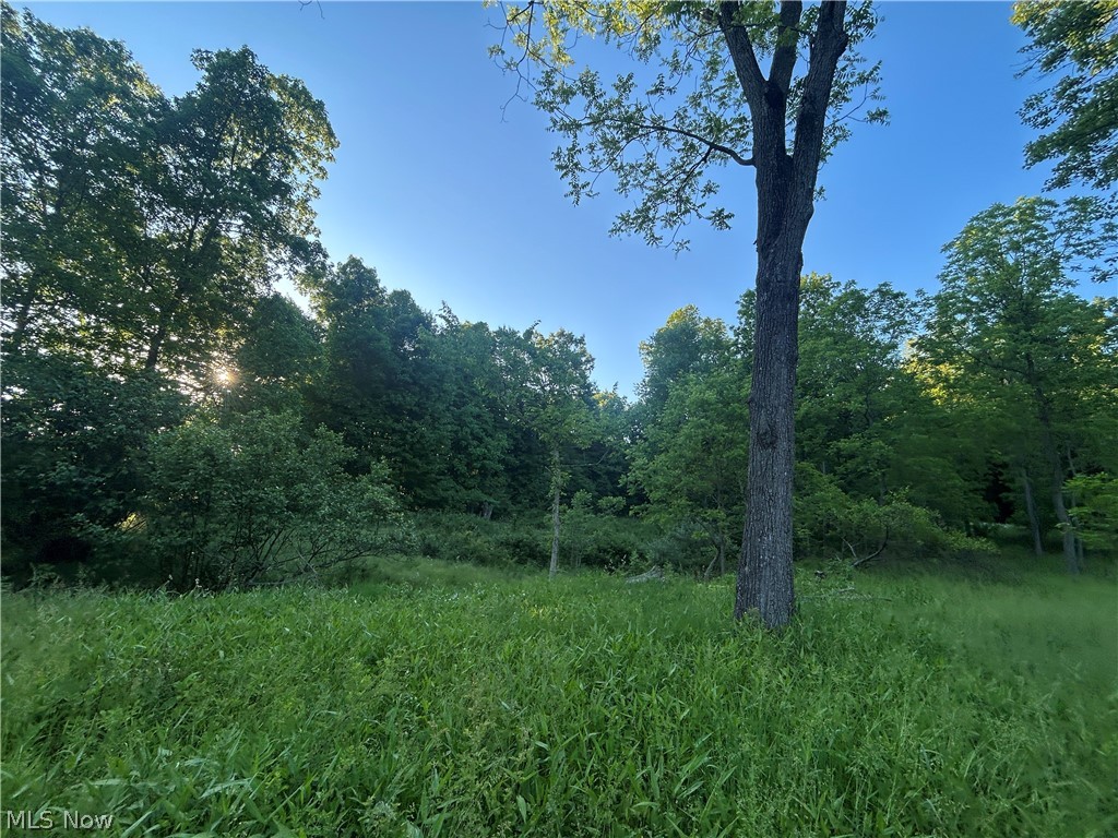 12929 Pleasant Valley Road Utica OH 43080