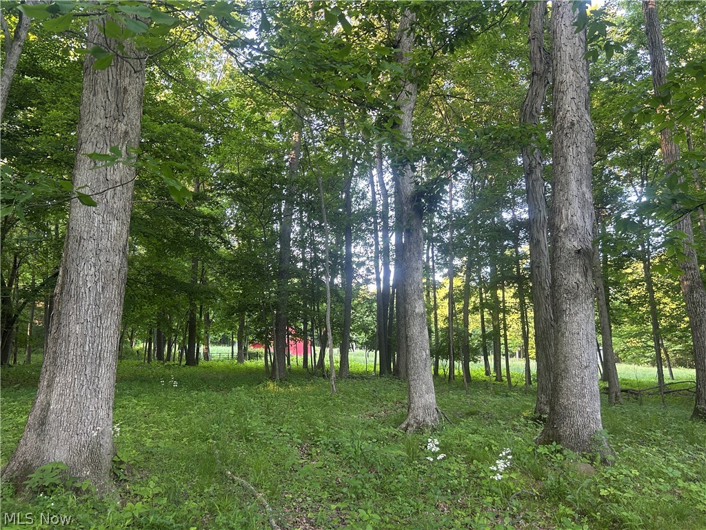 12929 Pleasant Valley Road Utica OH 43080