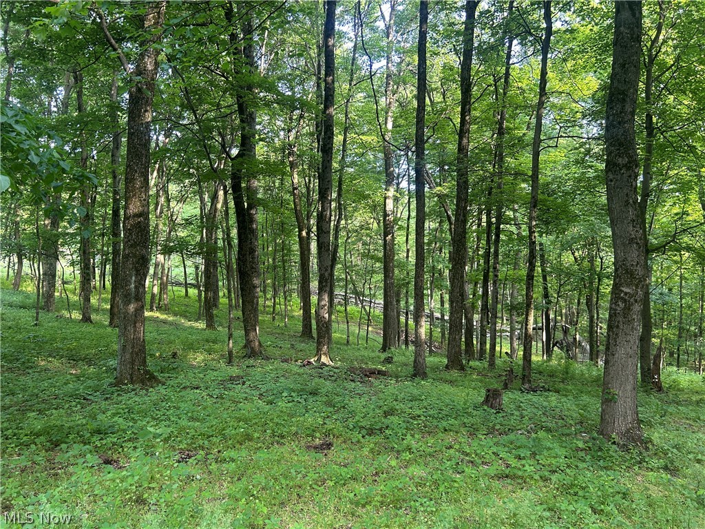 12929 Pleasant Valley Road Utica OH 43080