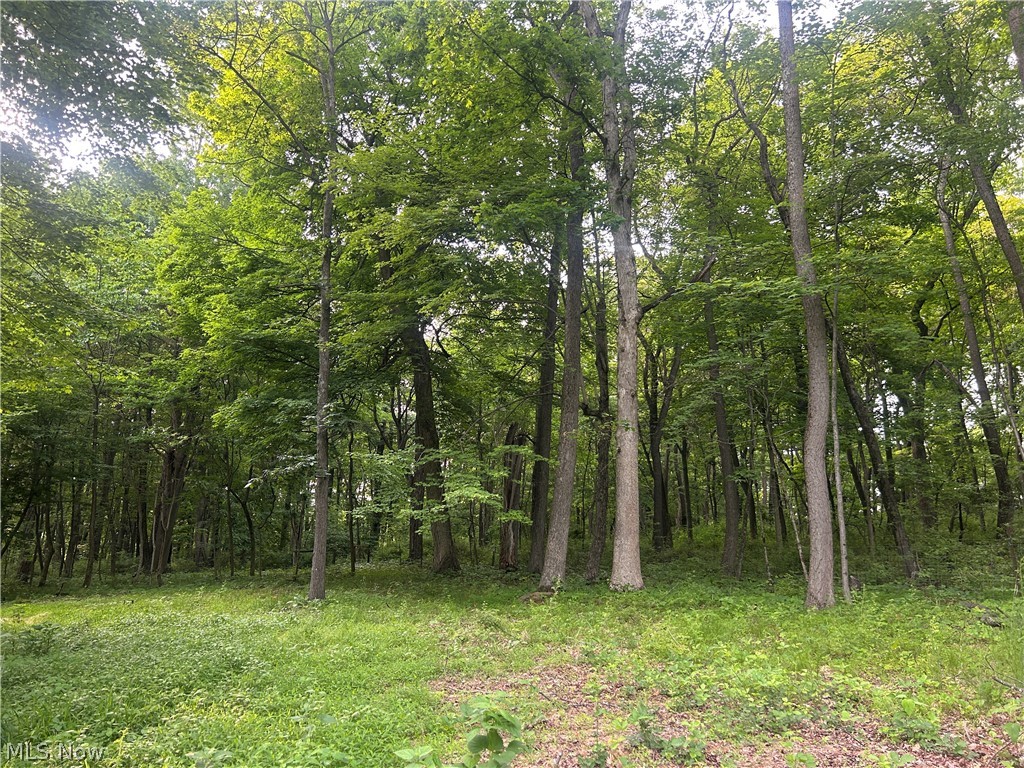 12929 Pleasant Valley Road Utica OH 43080