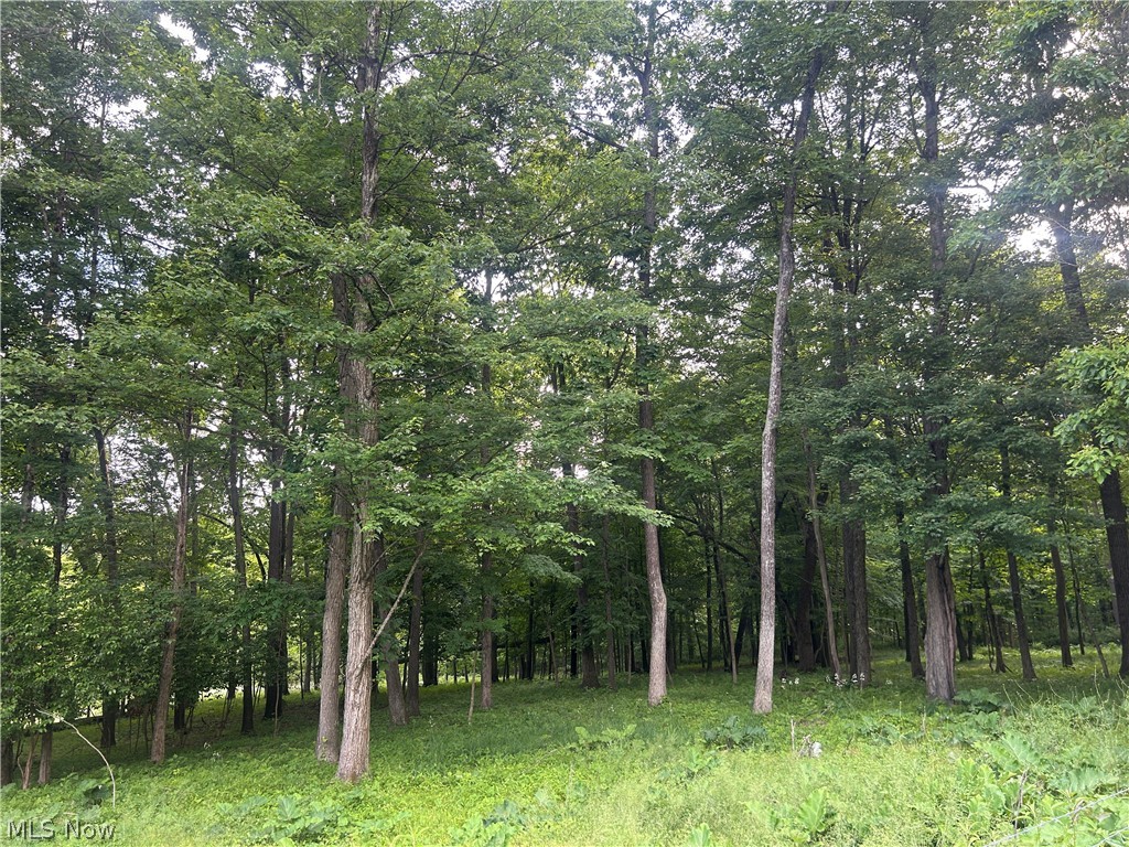 12929 Pleasant Valley Road Utica OH 43080