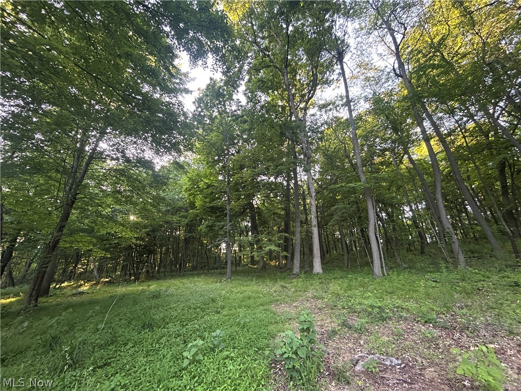 12929 Pleasant Valley Road Utica OH 43080