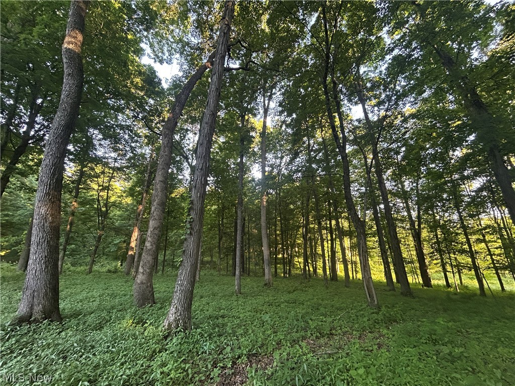 12929 Pleasant Valley Road Utica OH 43080