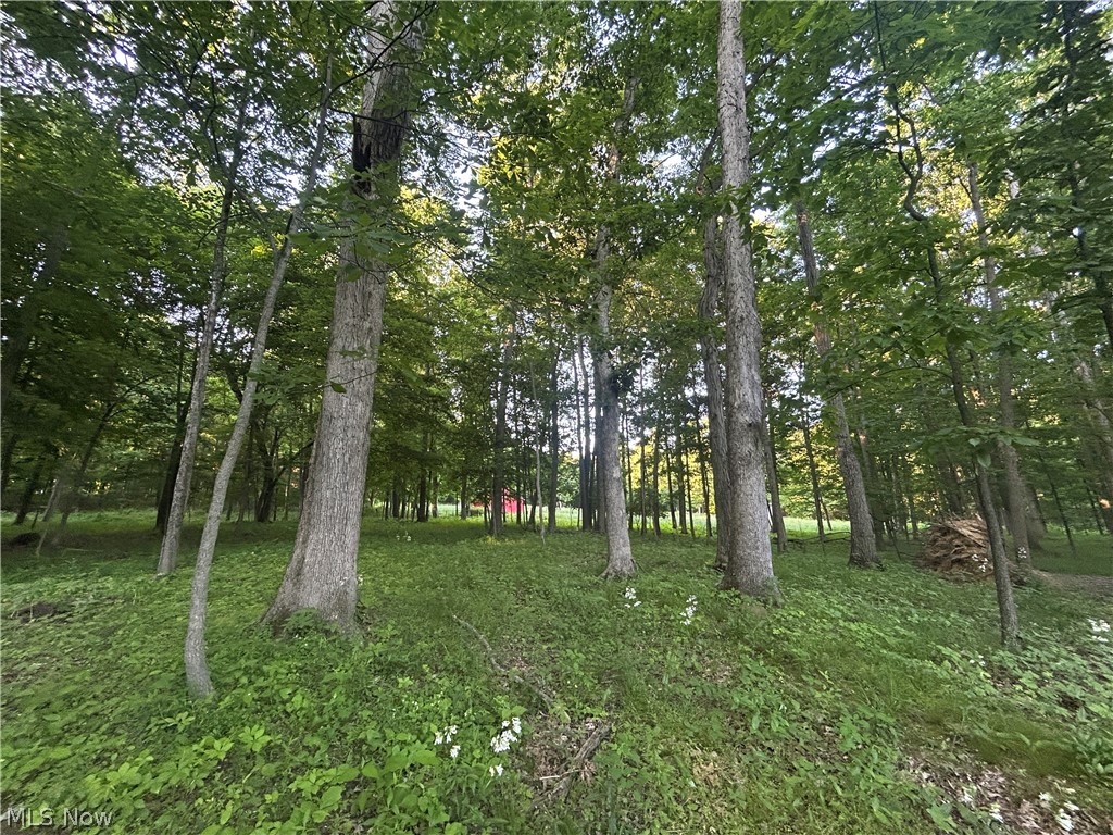 12929 Pleasant Valley Road Utica OH 43080