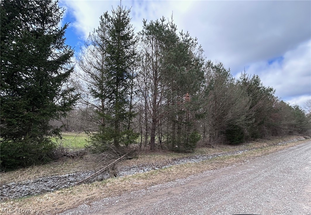 V/l White Road Rock Creek OH 44084