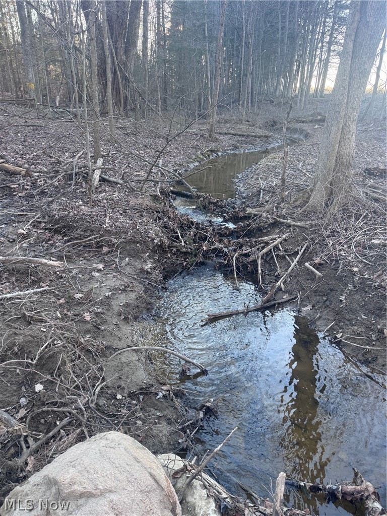 V/l White Road Rock Creek OH 44084