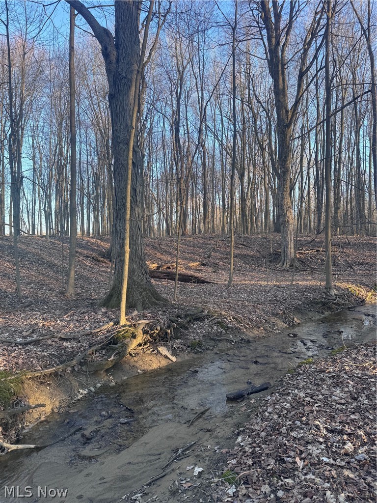 V/l White Road Rock Creek OH 44084