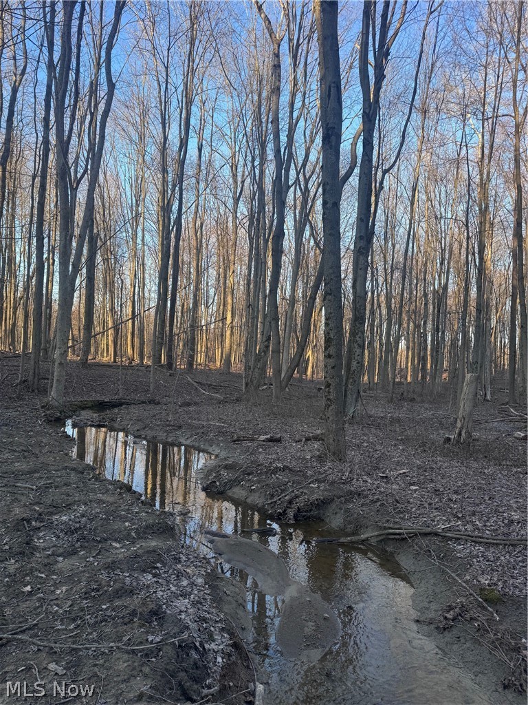 V/l White Road Rock Creek OH 44084
