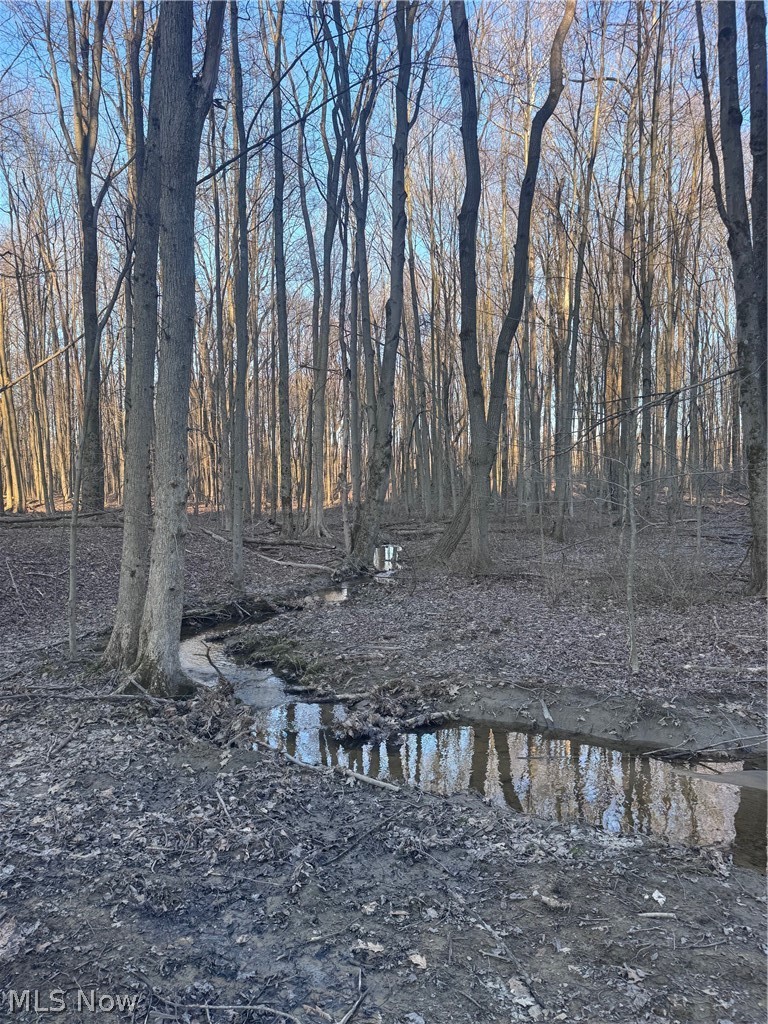 V/l White Road Rock Creek OH 44084