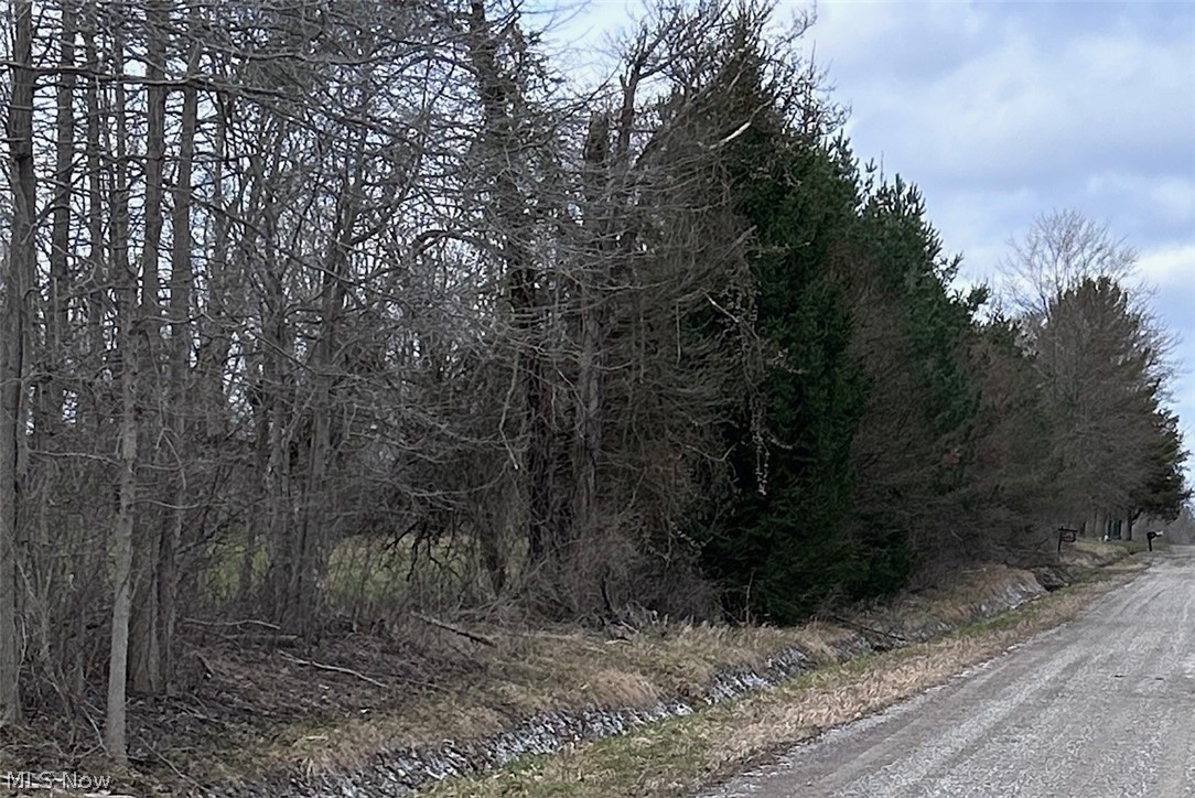 V/l White Road Rock Creek OH 44084