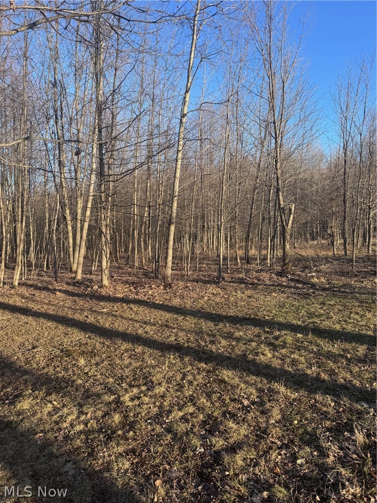 V/l White Road Rock Creek OH 44084