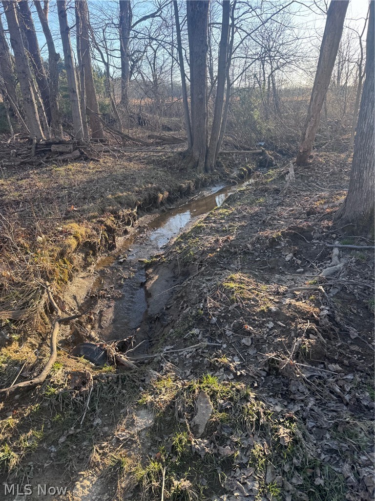V/l White Road Rock Creek OH 44084