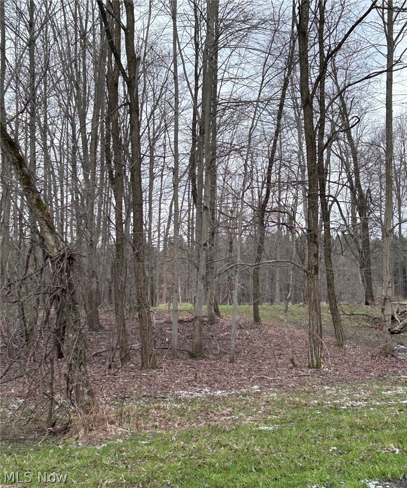 V/l White Road Rock Creek OH 44084