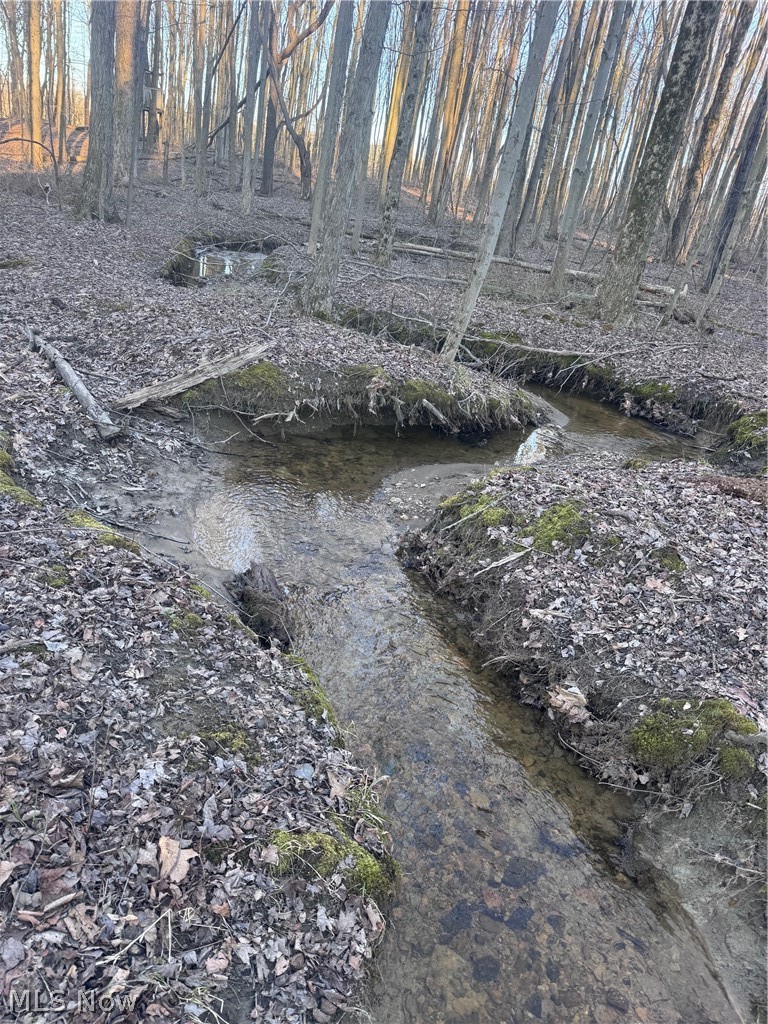 V/l White Road Rock Creek OH 44084