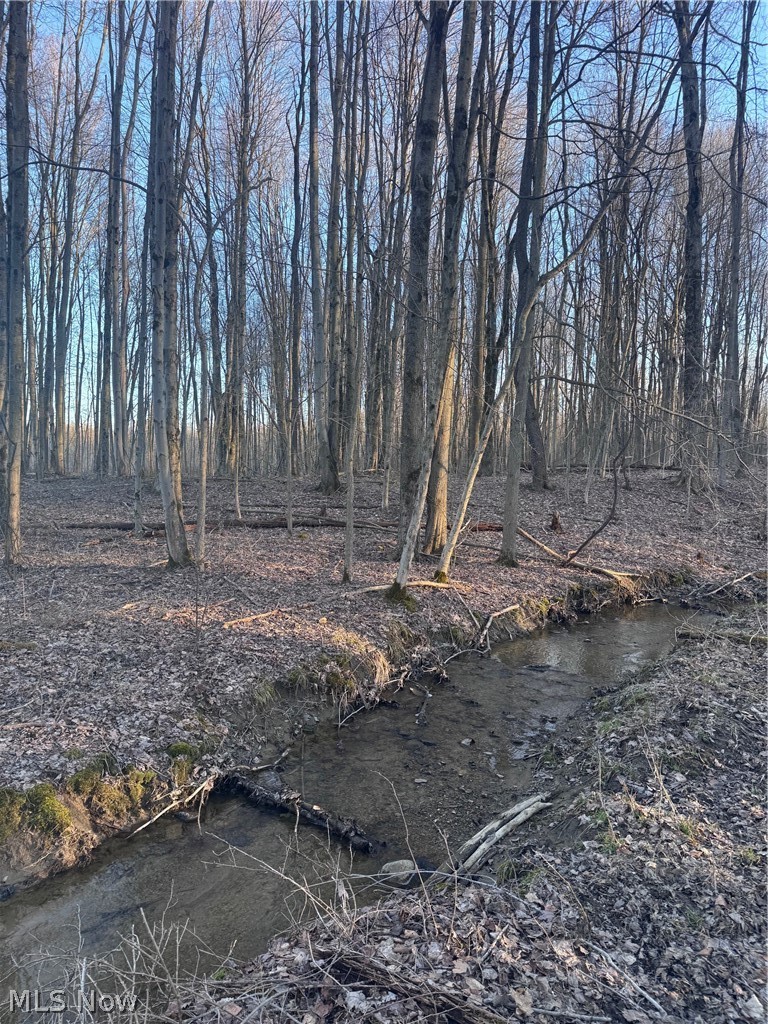 V/l White Road Rock Creek OH 44084