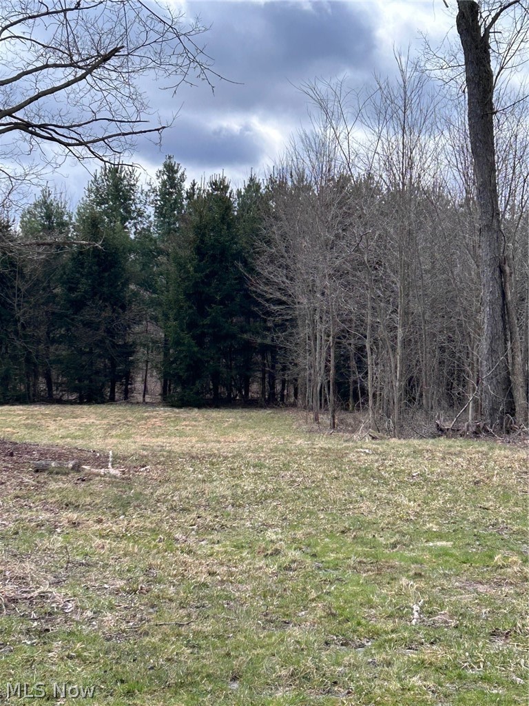 V/l White Road Rock Creek OH 44084