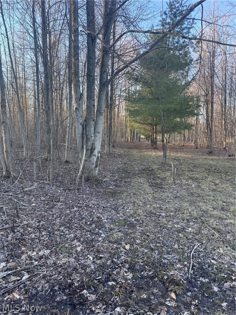 V/l White Road Rock Creek OH 44084
